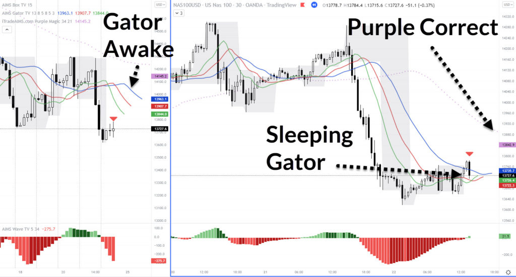 NASDAQ100 chart with a sleeping gator and a perfect setup 1 short