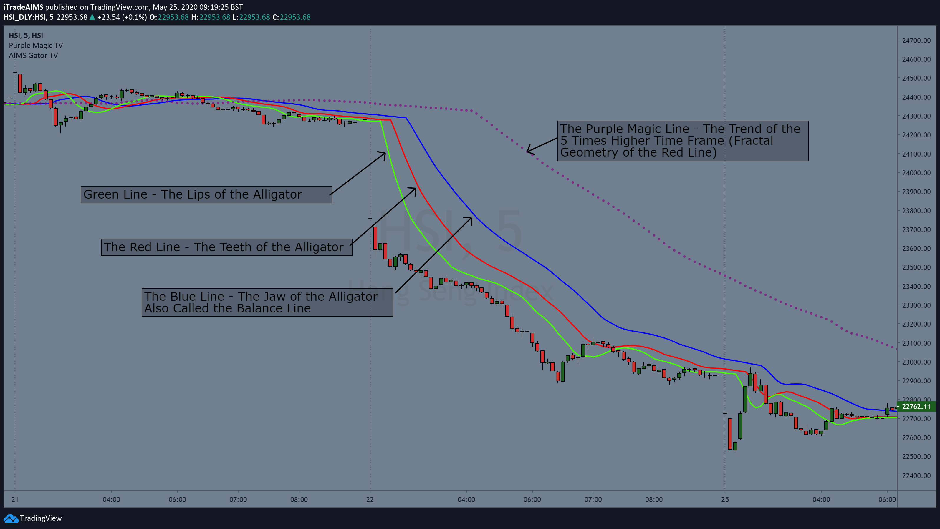 AIMS Gator - Chart 2